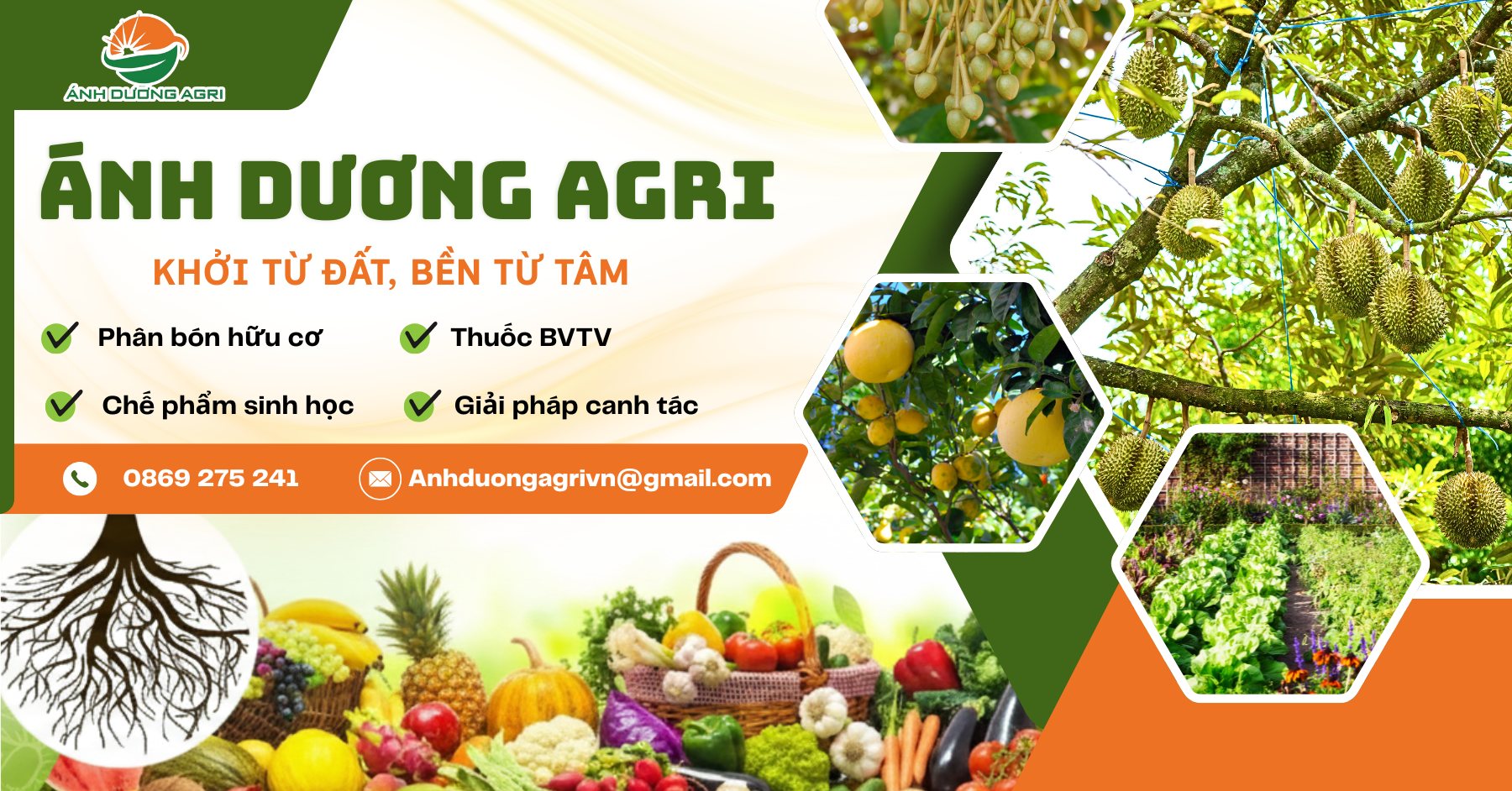 Công Ty TNHH Ánh Dương Agri: Khởi Từ Đất, Bền Từ Tâm